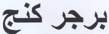 TS برجر