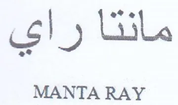 MANTA RAY