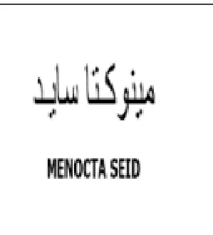 La Ss MENOCTA SEID