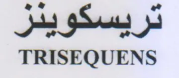 TRISEQUENS تريسكويدر