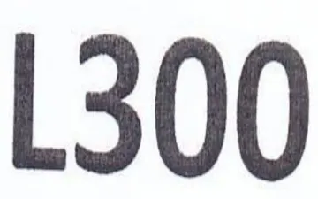 L300
