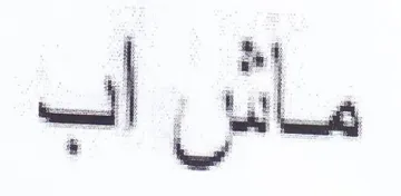 ماش اب
