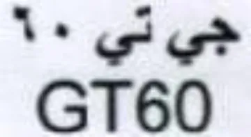 GT60 جي ني trademark logo