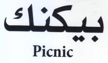 Picnic بكتك
