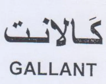 GALLANT كالانت