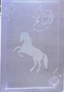 ee mae eee nS i طن