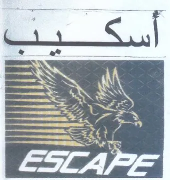 gS M SNS trademark logo