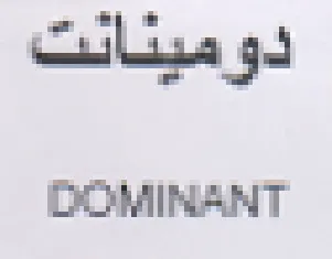 aa 3 DOMINANT trademark logo