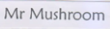 Mr Mushroom
