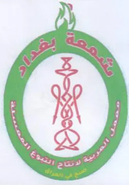 (i) 5 و trademark logo