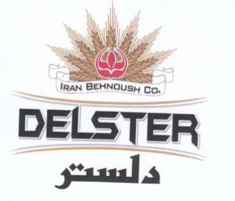 DELSTER asus