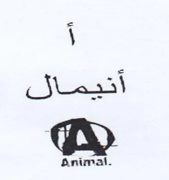 أنيمال