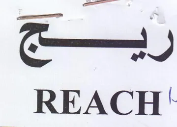 ريج