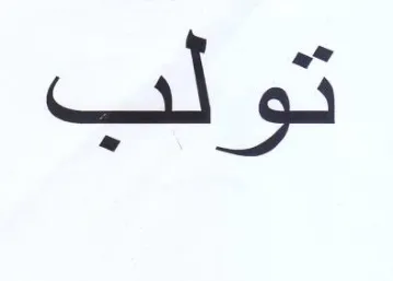 (figurative mark)