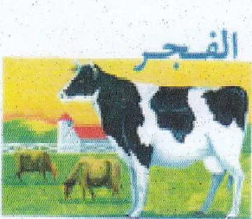 iy oe ge 5 ry BSS ic ارم ان