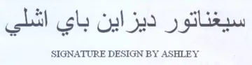 SIGNATURE DESIGN BY ASHLEY سيغناتور ديزاين باي اشلي trademark logo