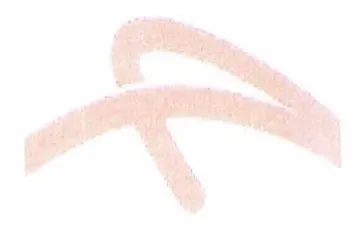 oa trademark logo