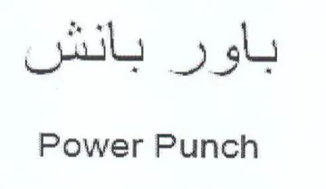 Power Punch باور بانش