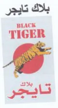 TIGER تايج