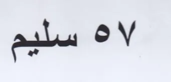 لاه سليم trademark logo
