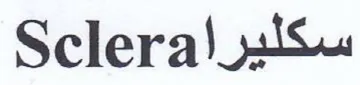 Sclera