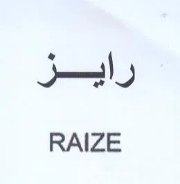 RAIZE رايز