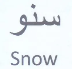 Snow دو