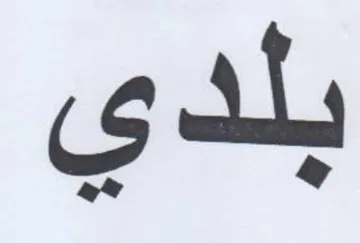 بلدي
