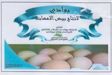 1 > z= S 1 ‏ا‎