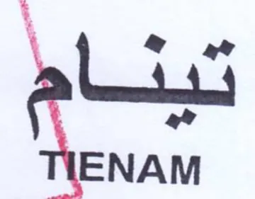 ce تينا