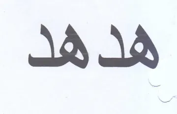 هدهد