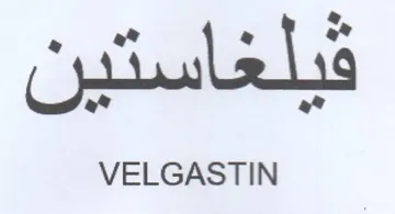 aS a a VELGASTIN