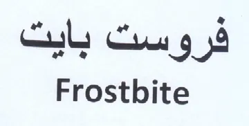 Frostbite فروست بايت