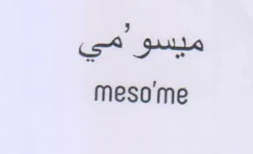 meso'me