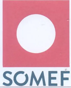 SOMEF