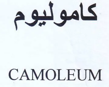 a gl gals CAMOLEUM