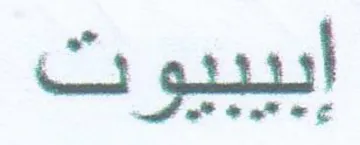 ابيبيوت