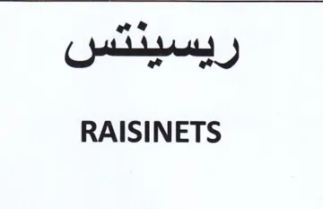 RAISINETS همهي راسينس