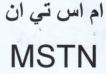 MSTN اس تي ان