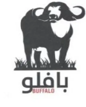 fi