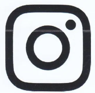 (figurative mark)
