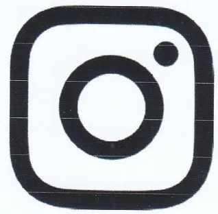 (figurative mark)