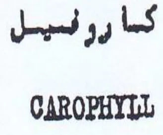CAROPHYLL كسا رو نسيل