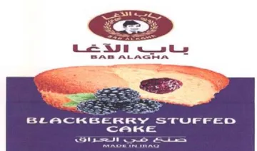 es BLACKBERRY STUFFED CAaKke eee erent