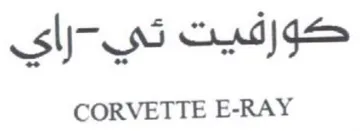CORVETTE E-RAY حورفيت تي