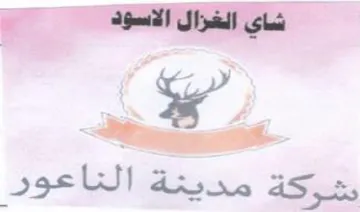 مدينة التاعور