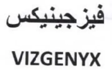 VIZGENYX trademark logo
