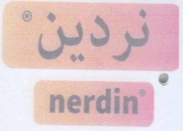 nerdin نردين
