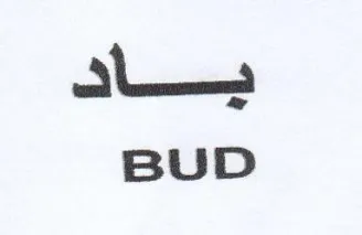 BUD يساك