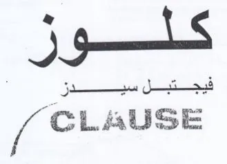 CLAUSE كلوز